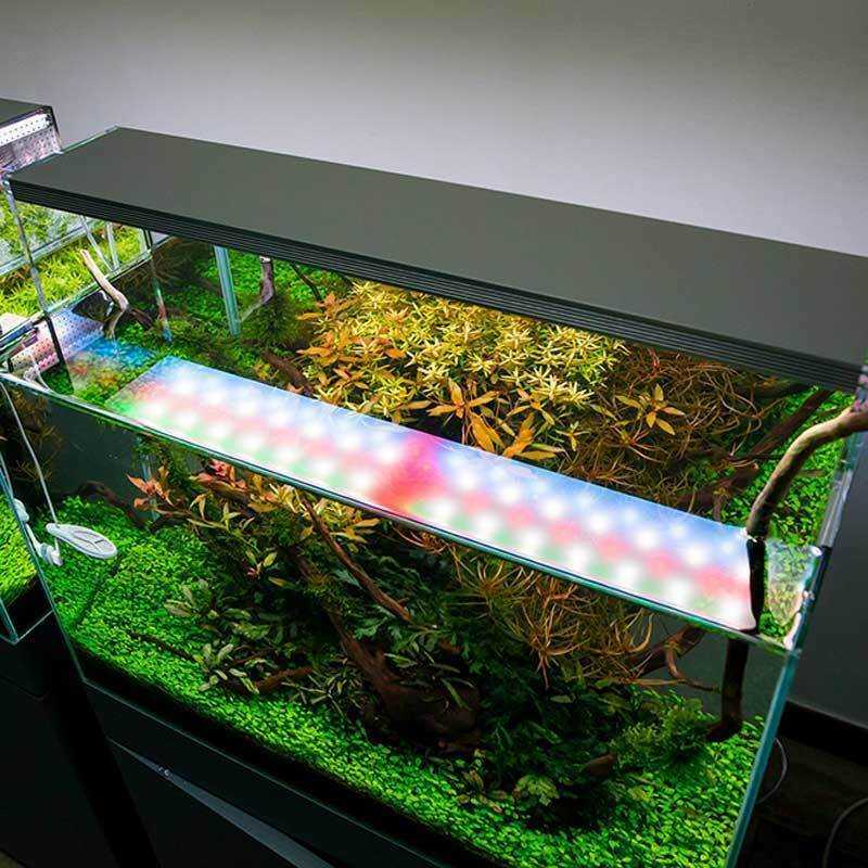 Освещение аквариума своими руками: светодиодный светильник, свет в аквариуме, подсветка для аквариума своими руками, освещение для аквариума своими руками, своими руками, как сделать, прожектор