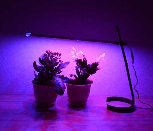 Лучшие светодиодные лампы для растений