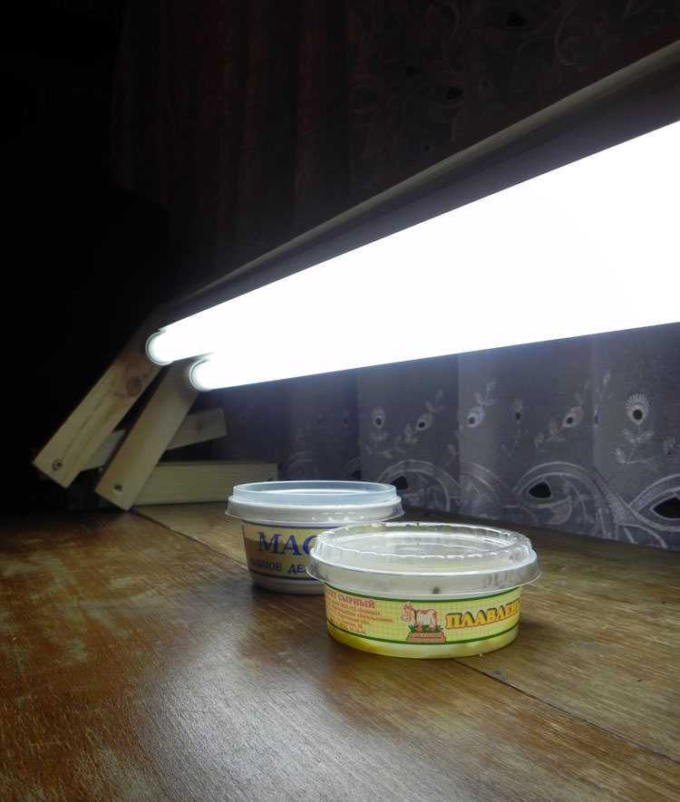 Как организовать освещение для рассады в домашних условиях?