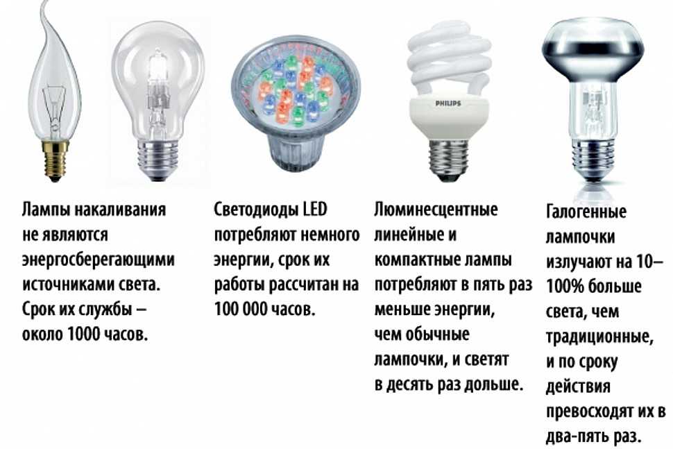 Энергосберегающая лампа - что это, какие бывают эконом лампочки, виды и типы энергосберегательных осветительных приборов для дома