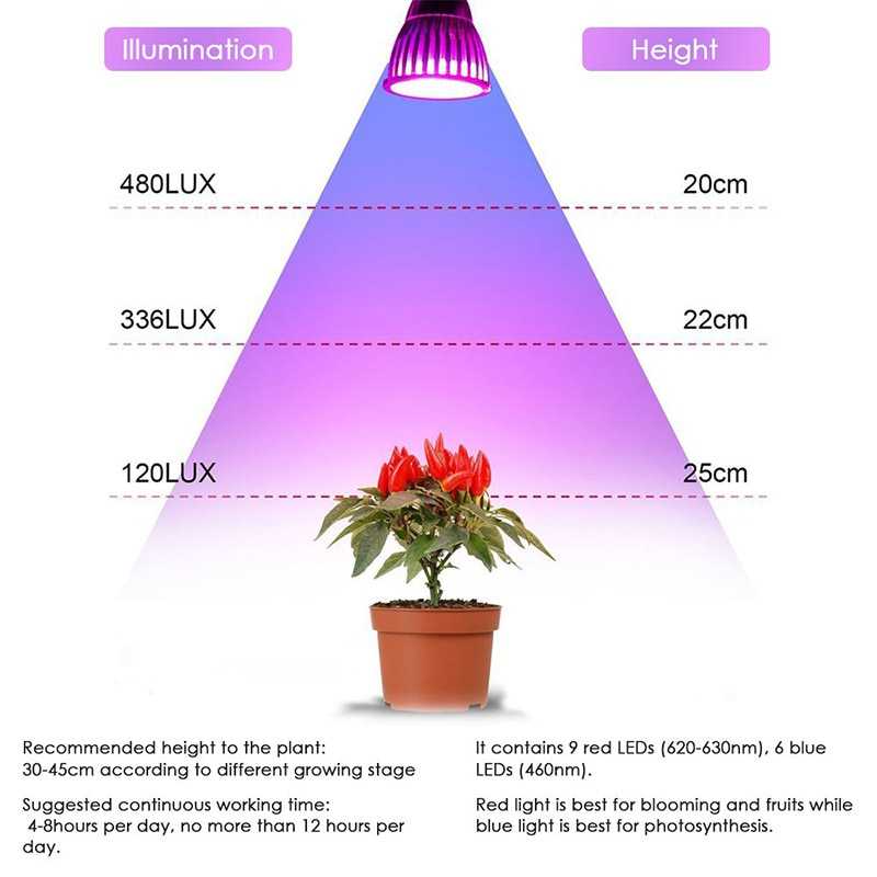 Как правильно выбрать фитолампу — рассчитать мощность, высоту подвеса, спектр освещения.