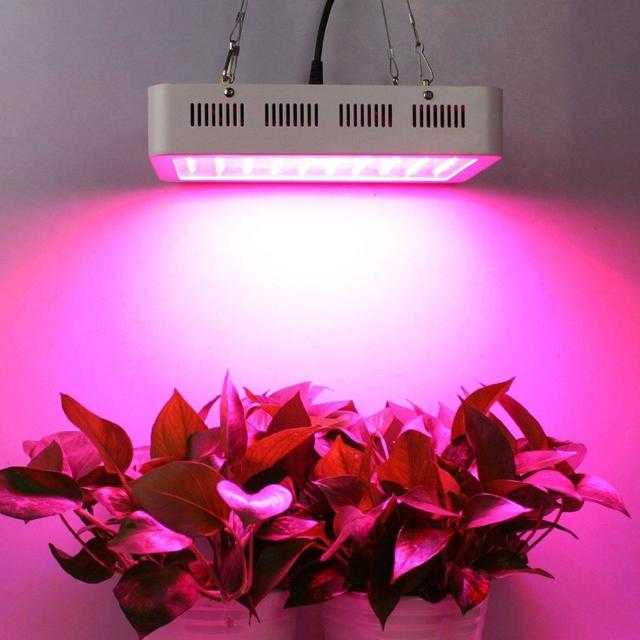 Лампа для выращивания растений в домашних условиях: нужна ли для роста комнатных цветов, на сколько ее включать, как правильно выбрать и пользоваться уф светильником?
