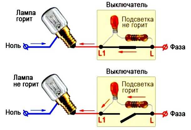 Фитолампа для растений: что это, как использовать, принцип работы, виды ламп