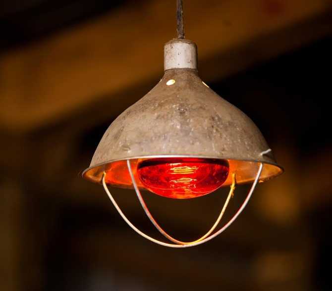 Инфракрасная лампа для цыплят и ее применение
